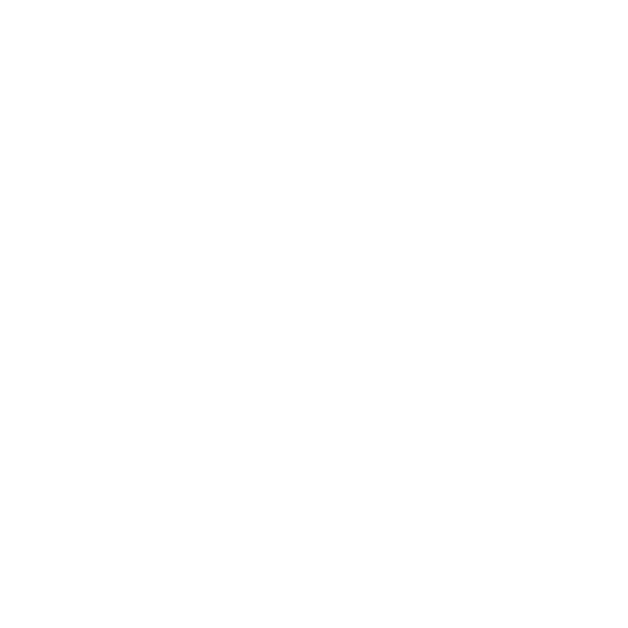 Client Logo logo